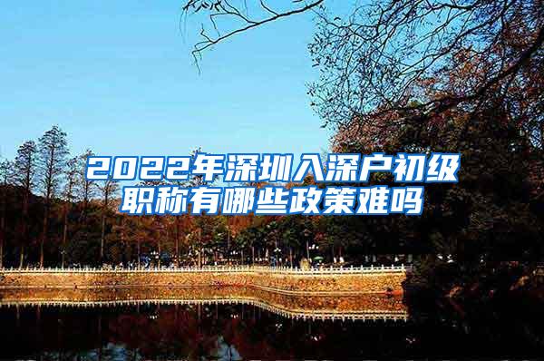 2022年深圳入深户初级职称有哪些政策难吗