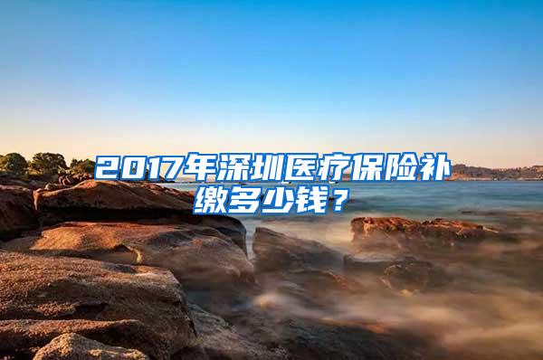 2017年深圳医疗保险补缴多少钱？