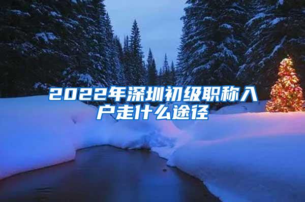 2022年深圳初级职称入户走什么途径