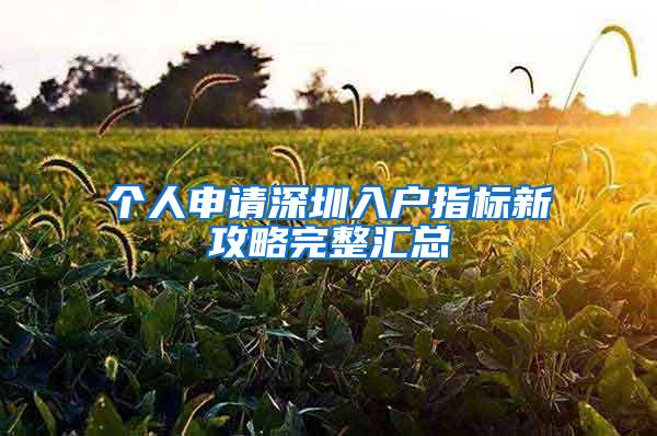 个人申请深圳入户指标新攻略完整汇总