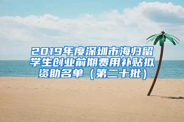 2019年度深圳市海归留学生创业前期费用补贴拟资助名单（第二十批）