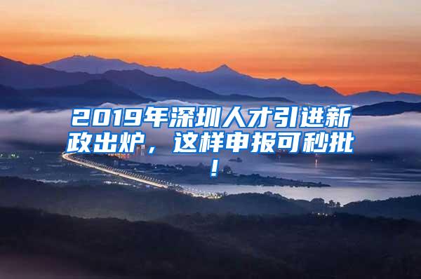 2019年深圳人才引进新政出炉，这样申报可秒批！