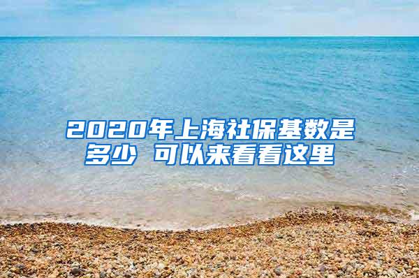 2020年上海社保基数是多少 可以来看看这里