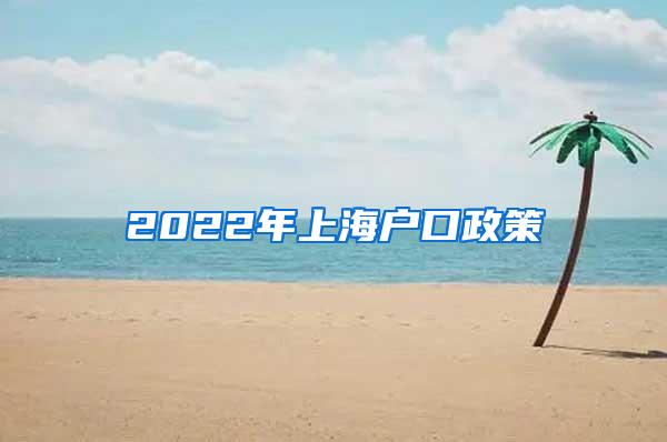 2022年上海户口政策