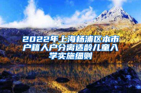 2022年上海杨浦区本市户籍人户分离适龄儿童入学实施细则