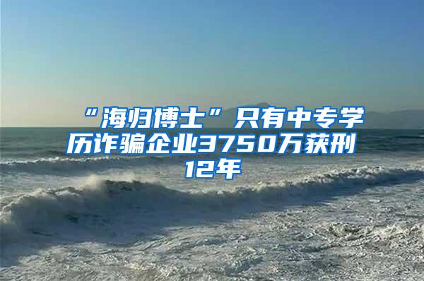 “海归博士”只有中专学历诈骗企业3750万获刑12年