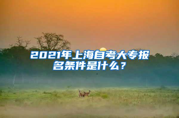 2021年上海自考大专报名条件是什么？