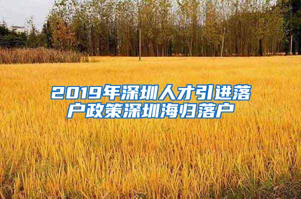 2019年深圳人才引进落户政策深圳海归落户