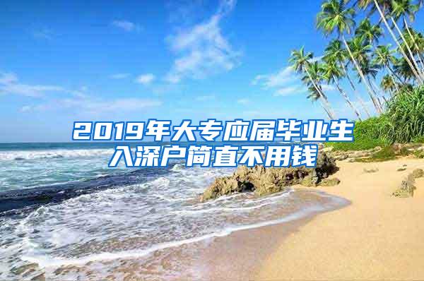 2019年大专应届毕业生入深户简直不用钱