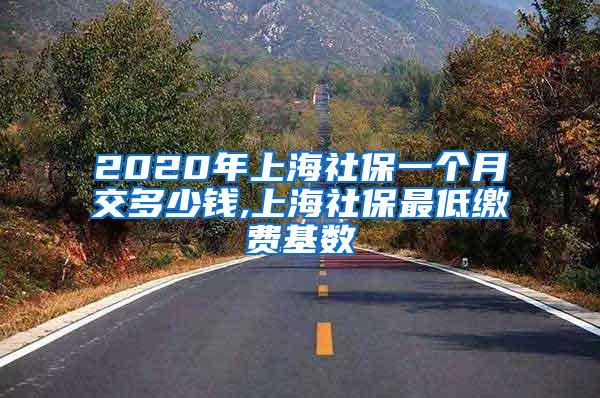 2020年上海社保一个月交多少钱,上海社保最低缴费基数