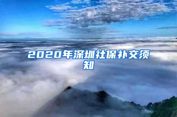 2020年深圳社保补交须知