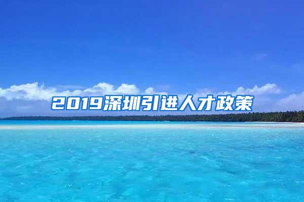 2019深圳引进人才政策