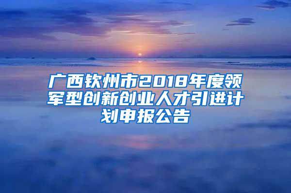 广西钦州市2018年度领军型创新创业人才引进计划申报公告