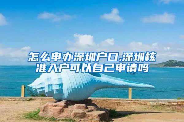 怎么申办深圳户口,深圳核准入户可以自己申请吗