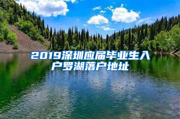 2019深圳应届毕业生入户罗湖落户地址