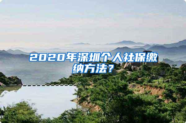 2020年深圳个人社保缴纳方法？