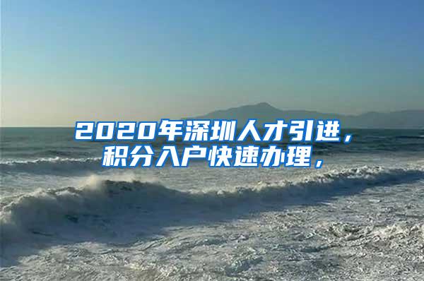 2020年深圳人才引进，积分入户快速办理，