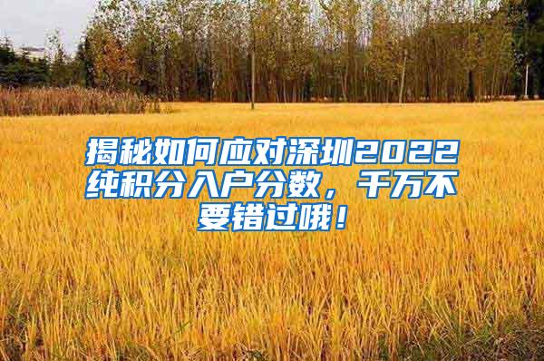 揭秘如何应对深圳2022纯积分入户分数，千万不要错过哦！