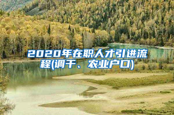 2020年在职人才引进流程(调干、农业户口)