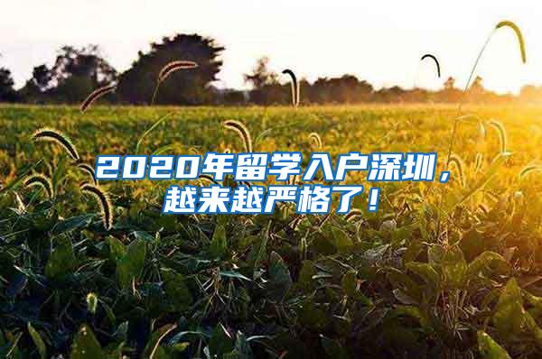 2020年留学入户深圳，越来越严格了！