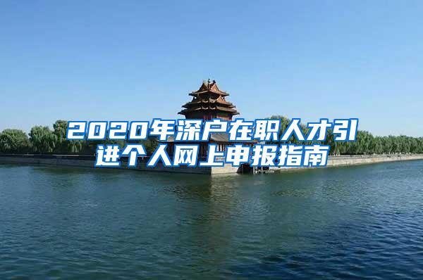 2020年深户在职人才引进个人网上申报指南