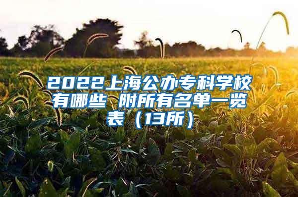 2022上海公办专科学校有哪些 附所有名单一览表（13所）