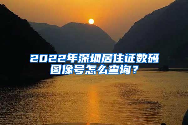 2022年深圳居住证数码图像号怎么查询？