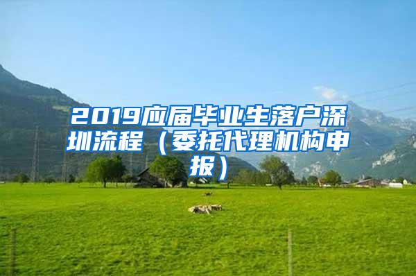 2019应届毕业生落户深圳流程（委托代理机构申报）