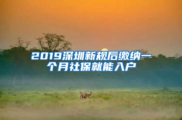 2019深圳新规后缴纳一个月社保就能入户