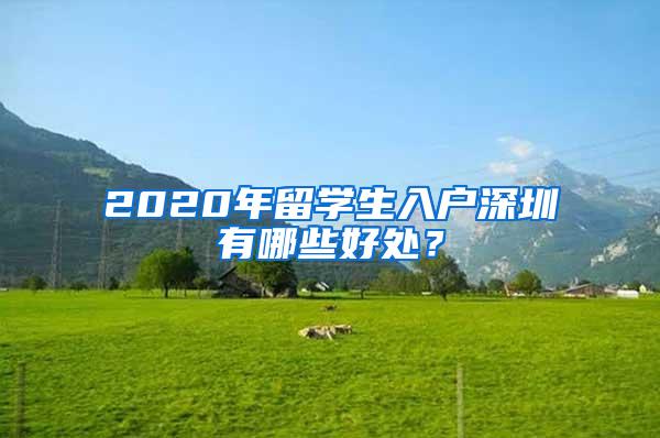 2020年留学生入户深圳有哪些好处？