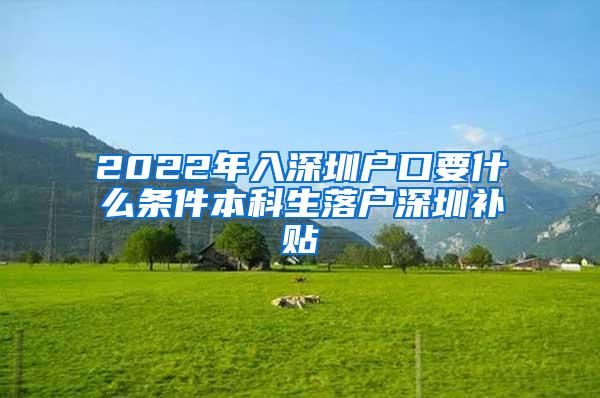 2022年入深圳户口要什么条件本科生落户深圳补贴