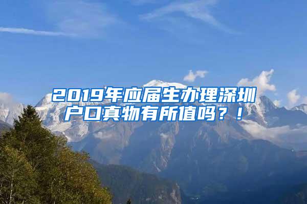 2019年应届生办理深圳户口真物有所值吗？!