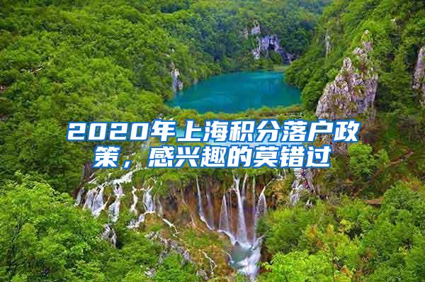 2020年上海积分落户政策，感兴趣的莫错过