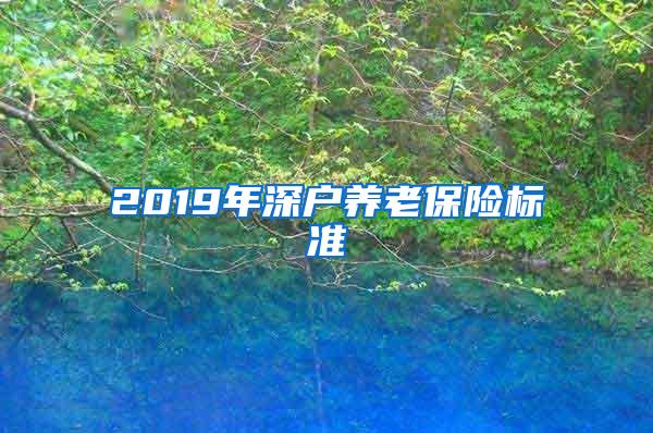 2019年深户养老保险标准