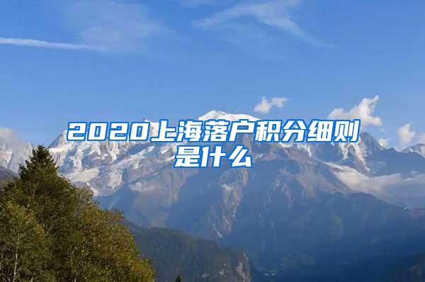 2020上海落户积分细则是什么