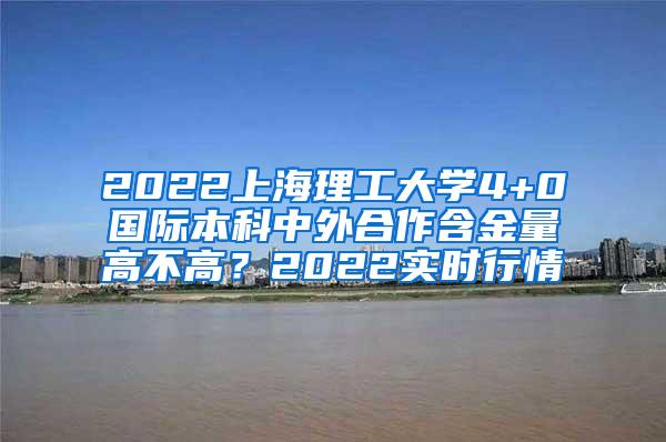 2022上海理工大学4+0国际本科中外合作含金量高不高？2022实时行情