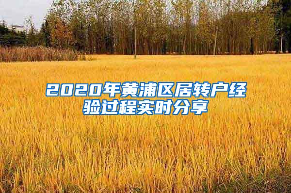 2020年黄浦区居转户经验过程实时分享