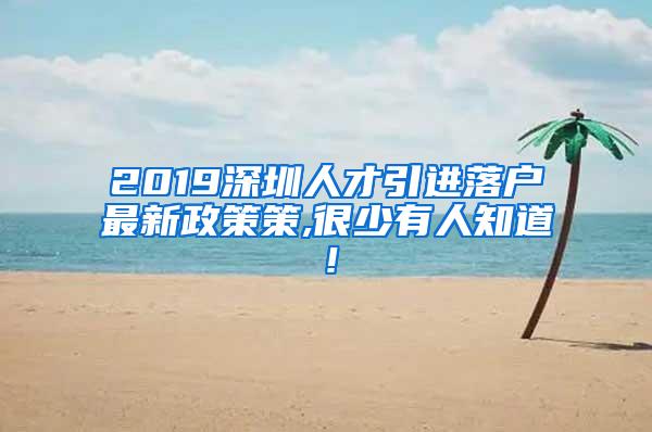 2019深圳人才引进落户最新政策策,很少有人知道！