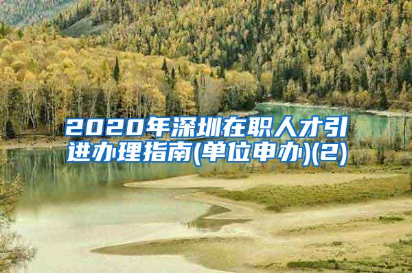 2020年深圳在职人才引进办理指南(单位申办)(2)