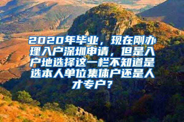 2020年毕业，现在刚办理入户深圳申请，但是入户地选择这一栏不知道是选本人单位集体户还是人才专户？