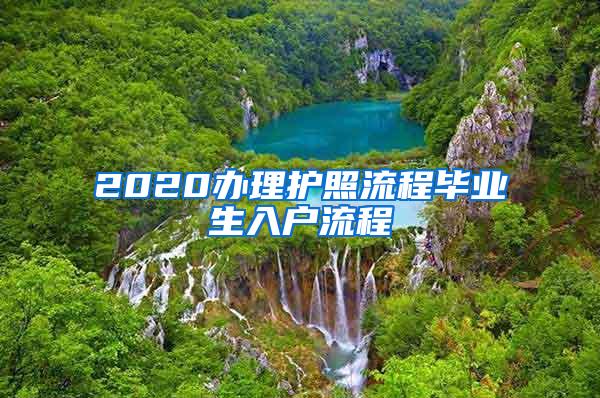 2020办理护照流程毕业生入户流程