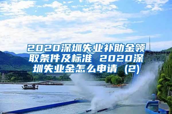 2020深圳失业补助金领取条件及标准 2020深圳失业金怎么申请 (2)