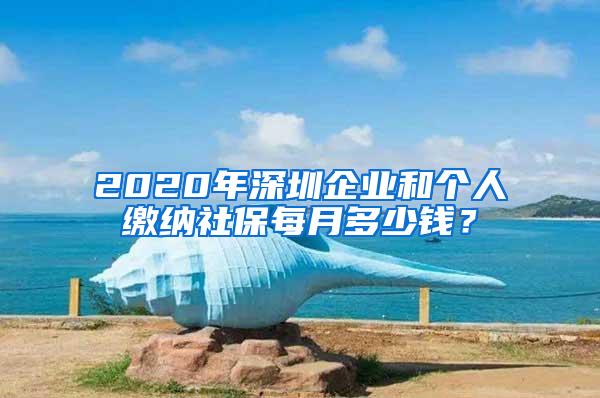 2020年深圳企业和个人缴纳社保每月多少钱？