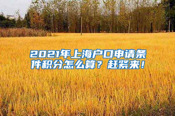 2021年上海户口申请条件积分怎么算？赶紧来！