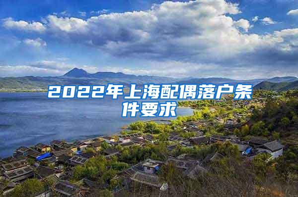 2022年上海配偶落户条件要求