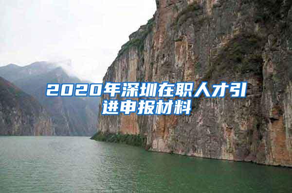 2020年深圳在职人才引进申报材料