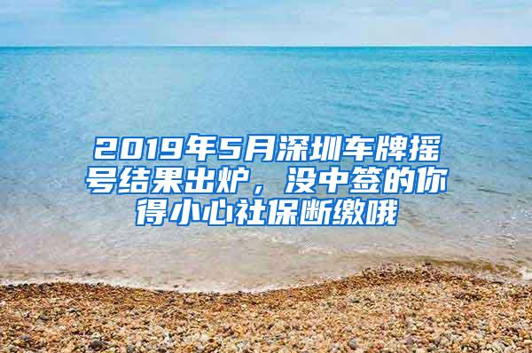 2019年5月深圳车牌摇号结果出炉，没中签的你得小心社保断缴哦