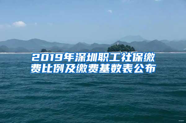 2019年深圳职工社保缴费比例及缴费基数表公布