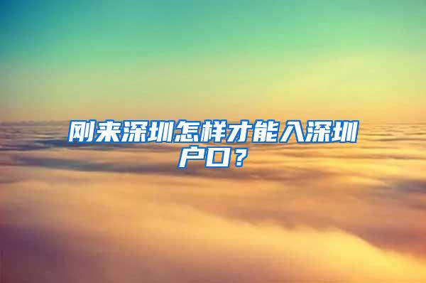 刚来深圳怎样才能入深圳户口？