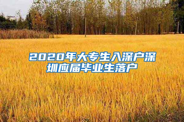 2020年大专生入深户深圳应届毕业生落户